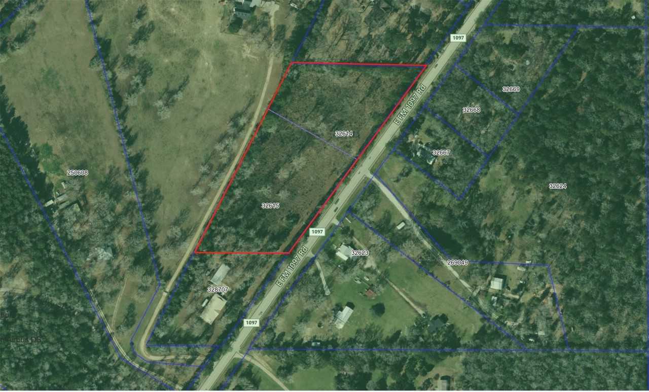 17171 E Fm 1097 Rd #17171 - Photo 5 of 19