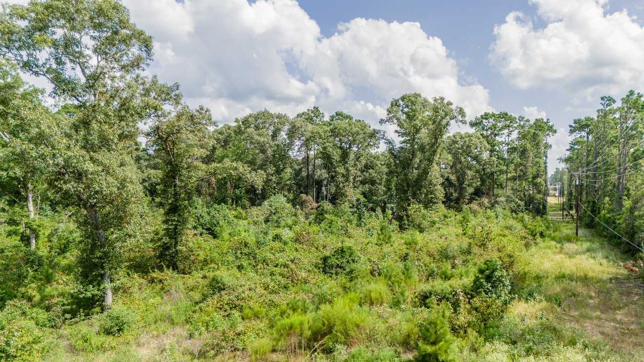 17171 E Fm 1097 Rd #17171 - Photo 7 of 19