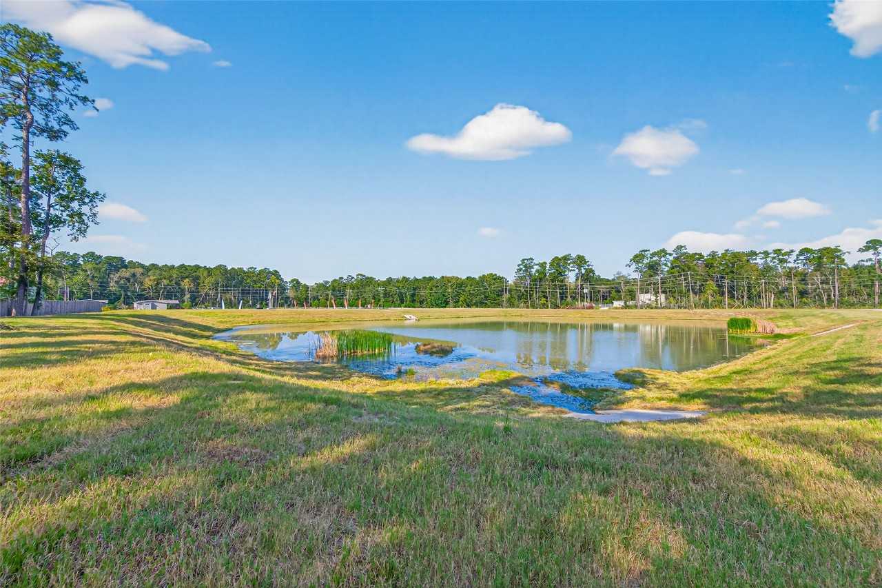 10594 Rustling Oaks #10594 - Photo 4 of 35