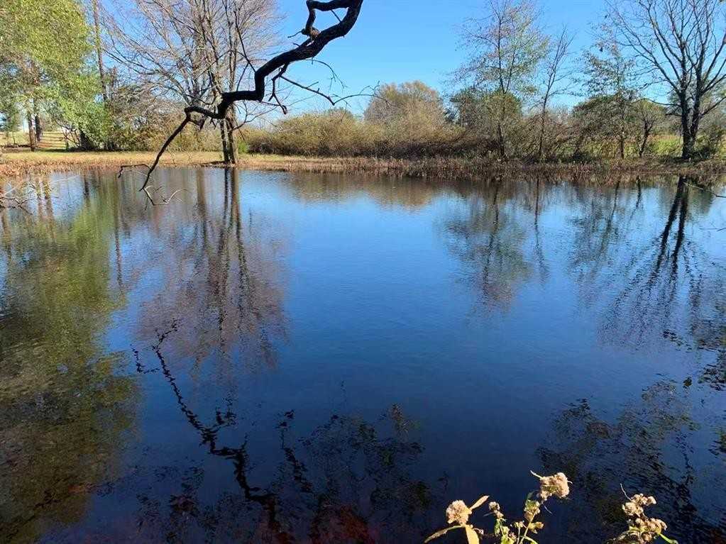 2994 State Highway 24 #2994 - Photo 2 of 4