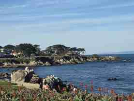 257 Central Ave #2 - Photo 1 of 1