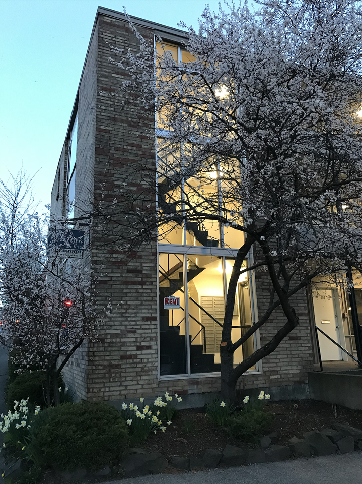 4120 11th Ave Ne #202 - Photo 2 of 21