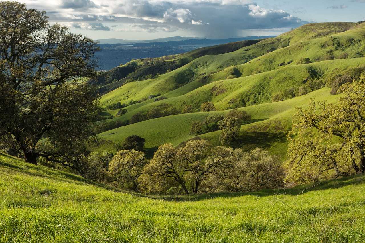 Mission Apts - Photo 7 of 14