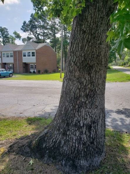 Tudor Apartments - Photo 5 of 6