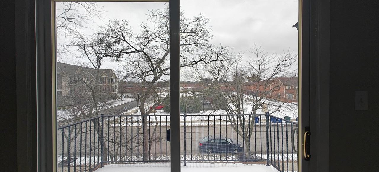 1540 Slade Ave Apt 303 - Photo 6 of 23