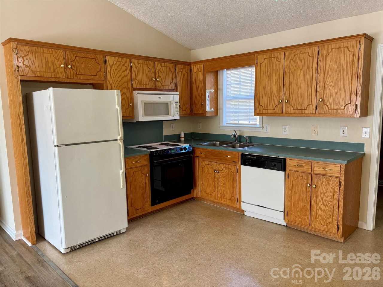 521 Cedar Spring Ln - Photo 4 of 11