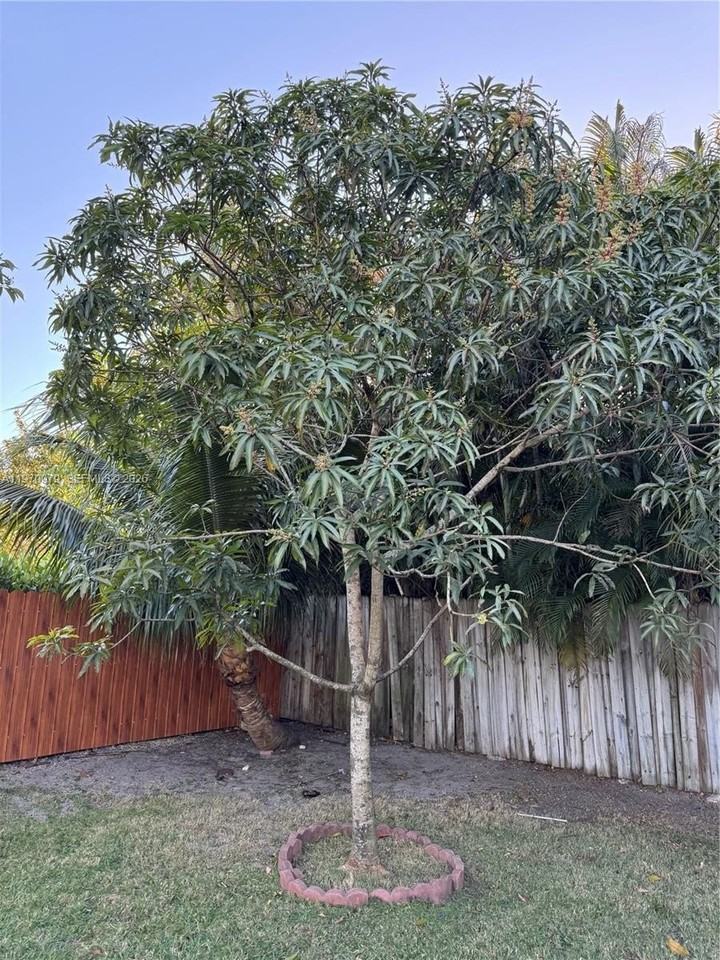 470 Ne 127th St - Photo 4 of 42