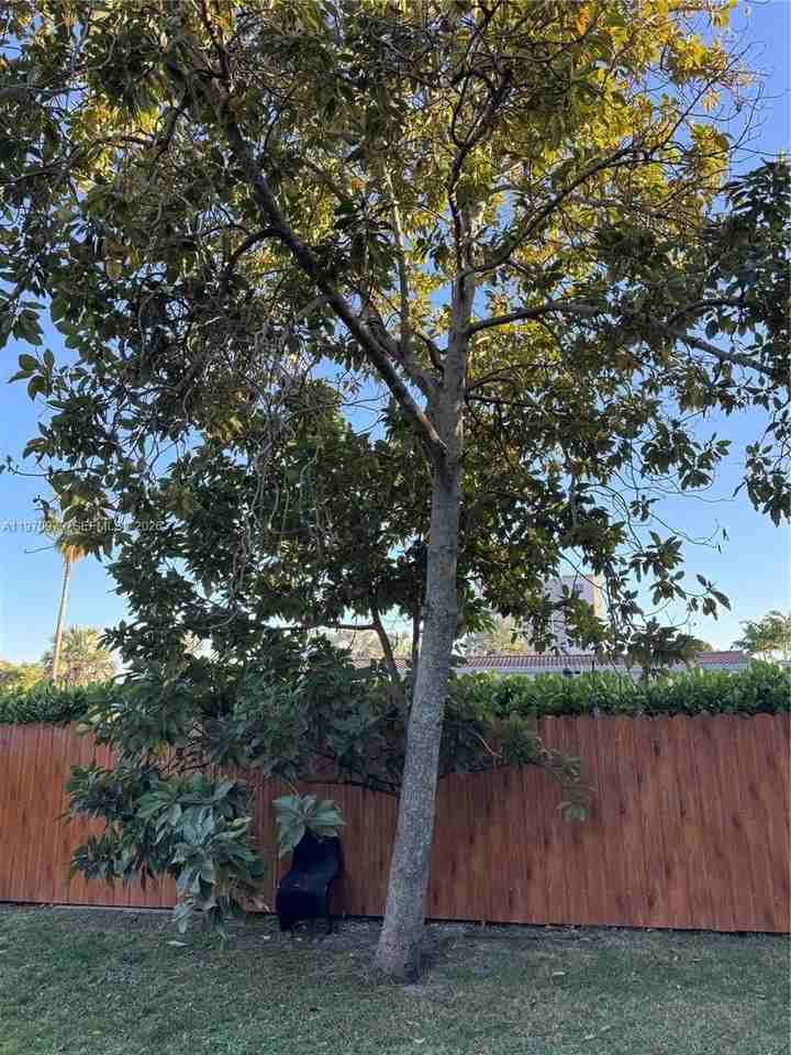 470 Ne 127th St - Photo 5 of 42