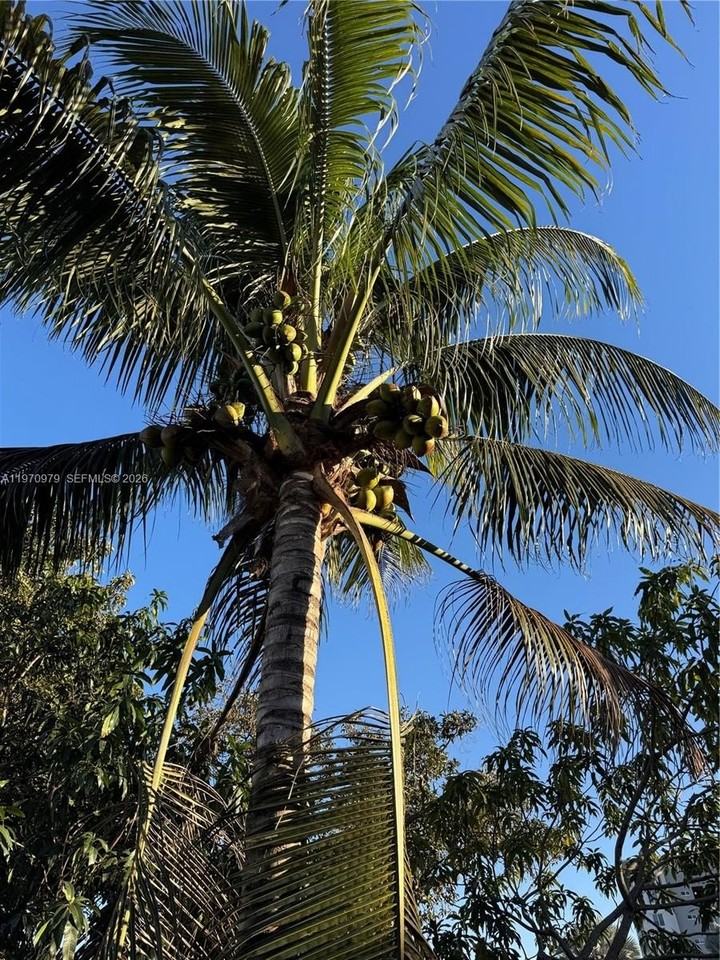 470 Ne 127th St - Photo 6 of 42