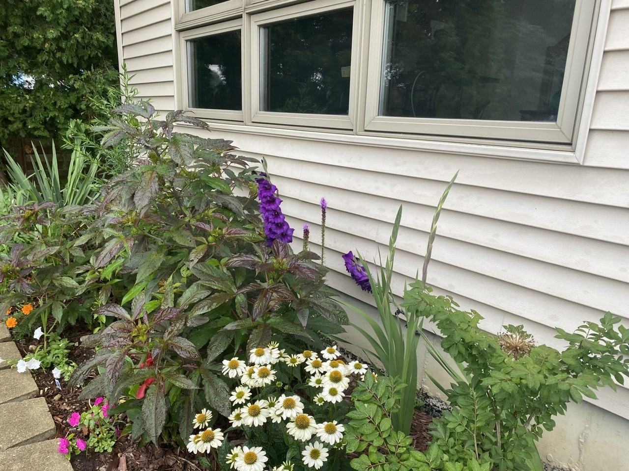 23231 W Lake Shore Dr - Photo 5 of 22