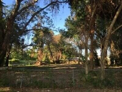 509 E Magnolia St - Photo 5 of 14