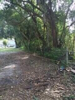 509 E Magnolia St - Photo 6 of 14