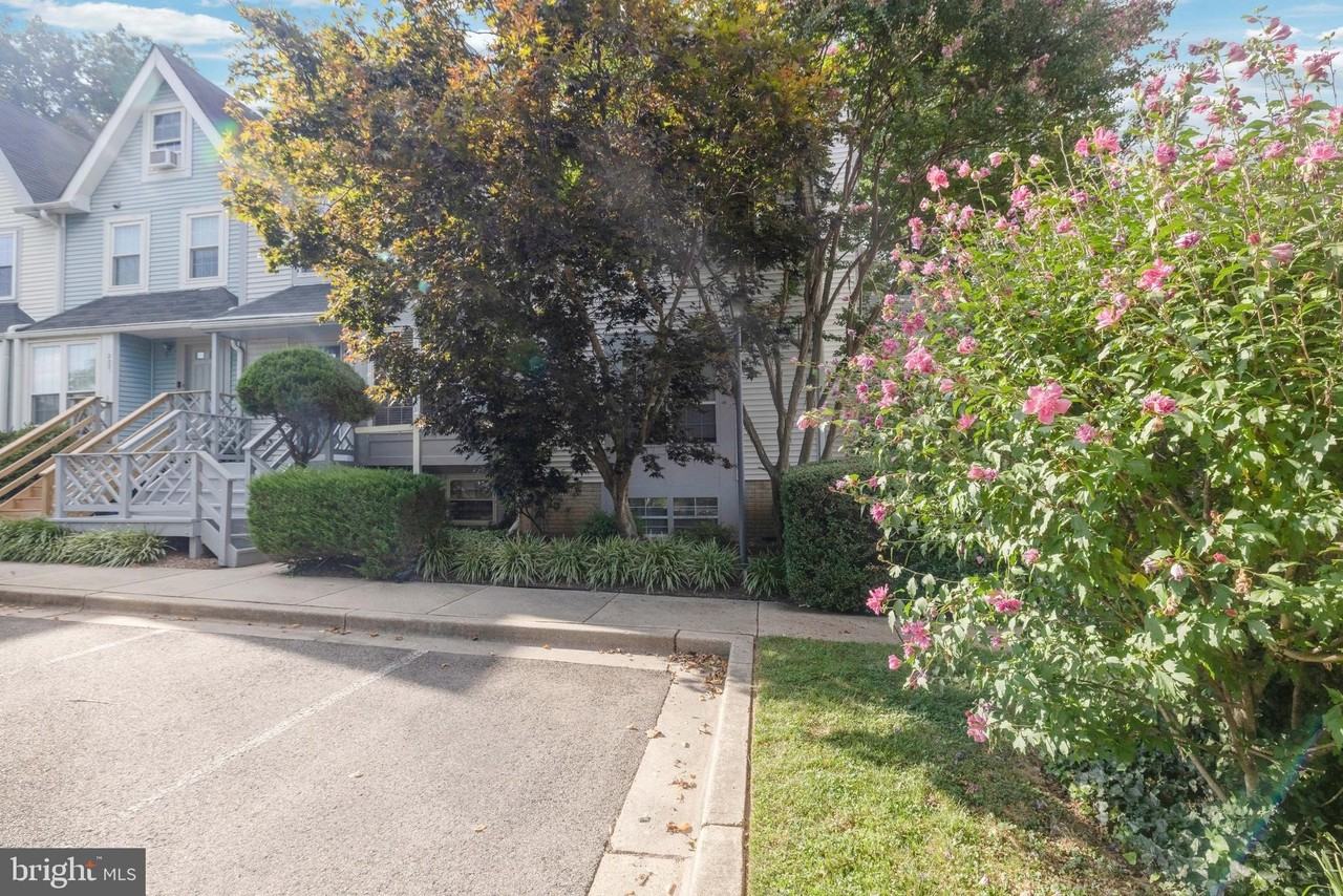 2019 Lyttonsville Rd - Photo 3 of 34