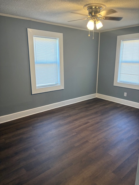 411 Smith St - Photo 6 of 7