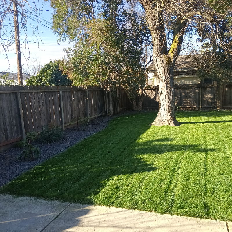 1825 College Ave - Photo 5 of 10