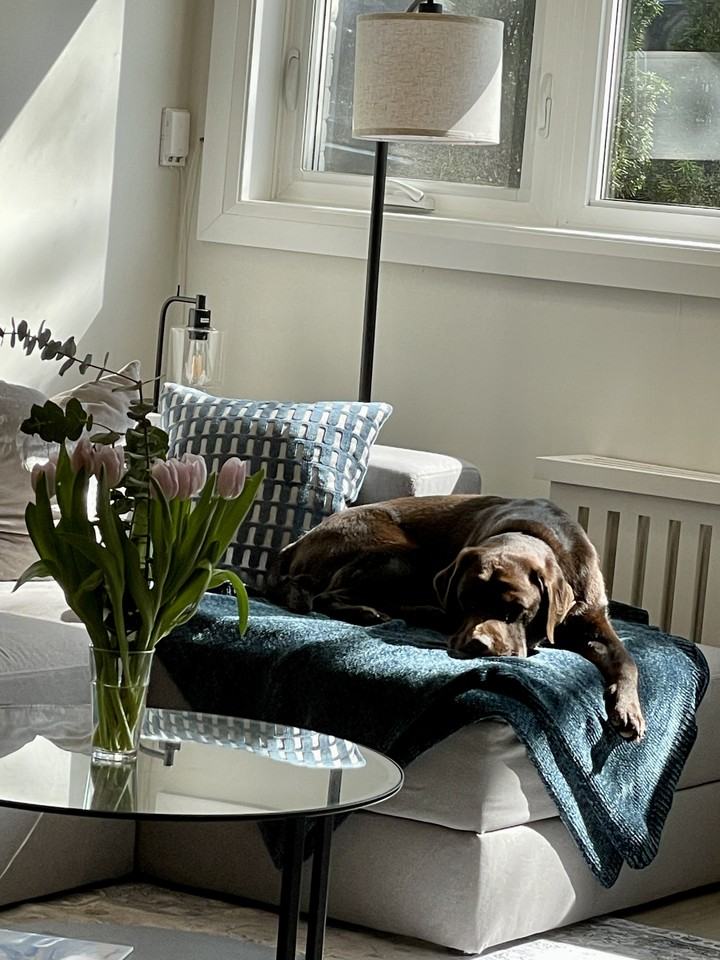 218 Wheeler Avenue - Photo 3 of 32