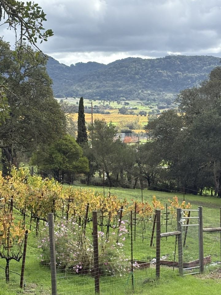 42 Jacks Ln #A - Photo 2 of 8