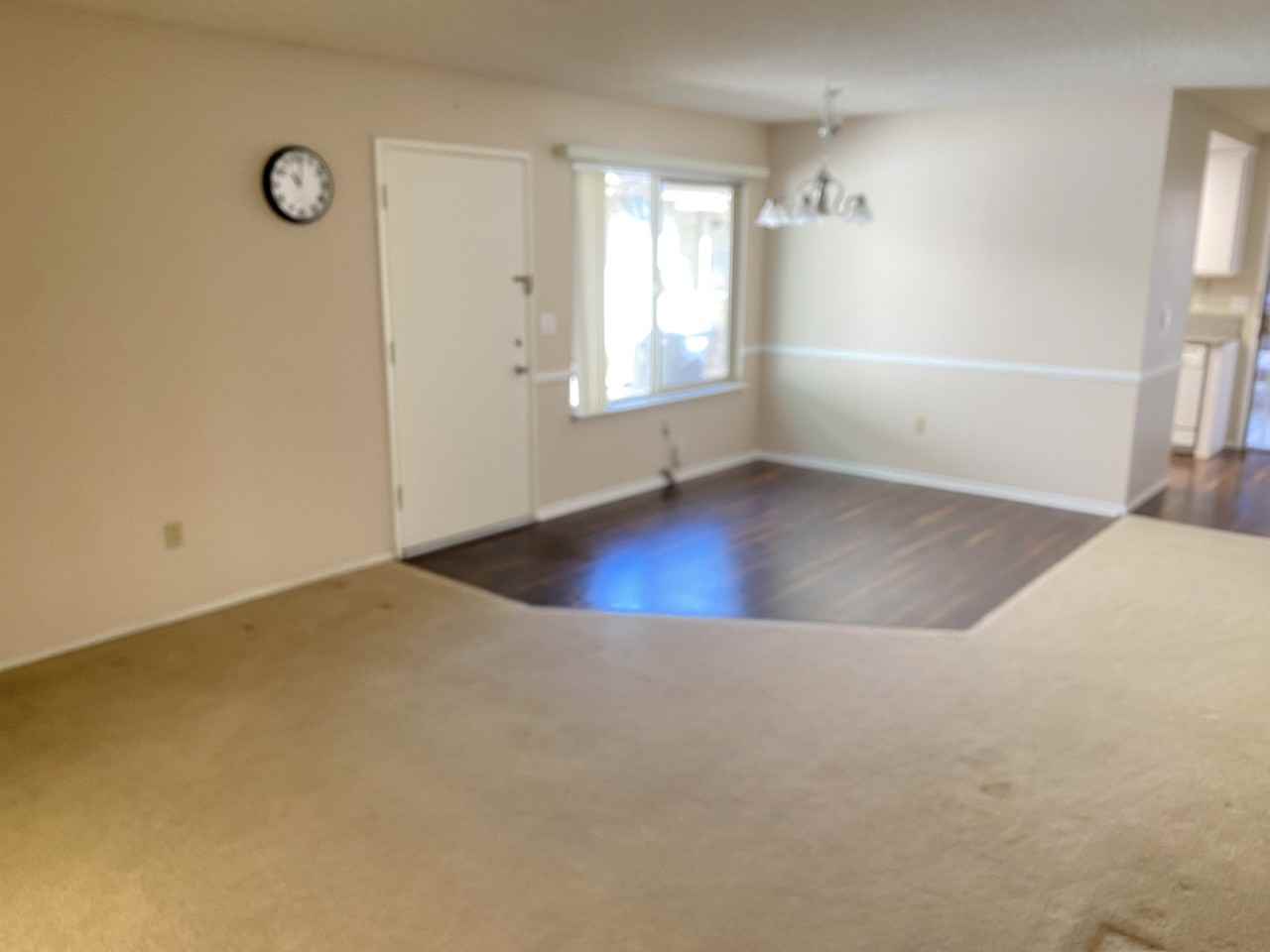 1318 Bushy Tail Trl - Photo 5 of 16