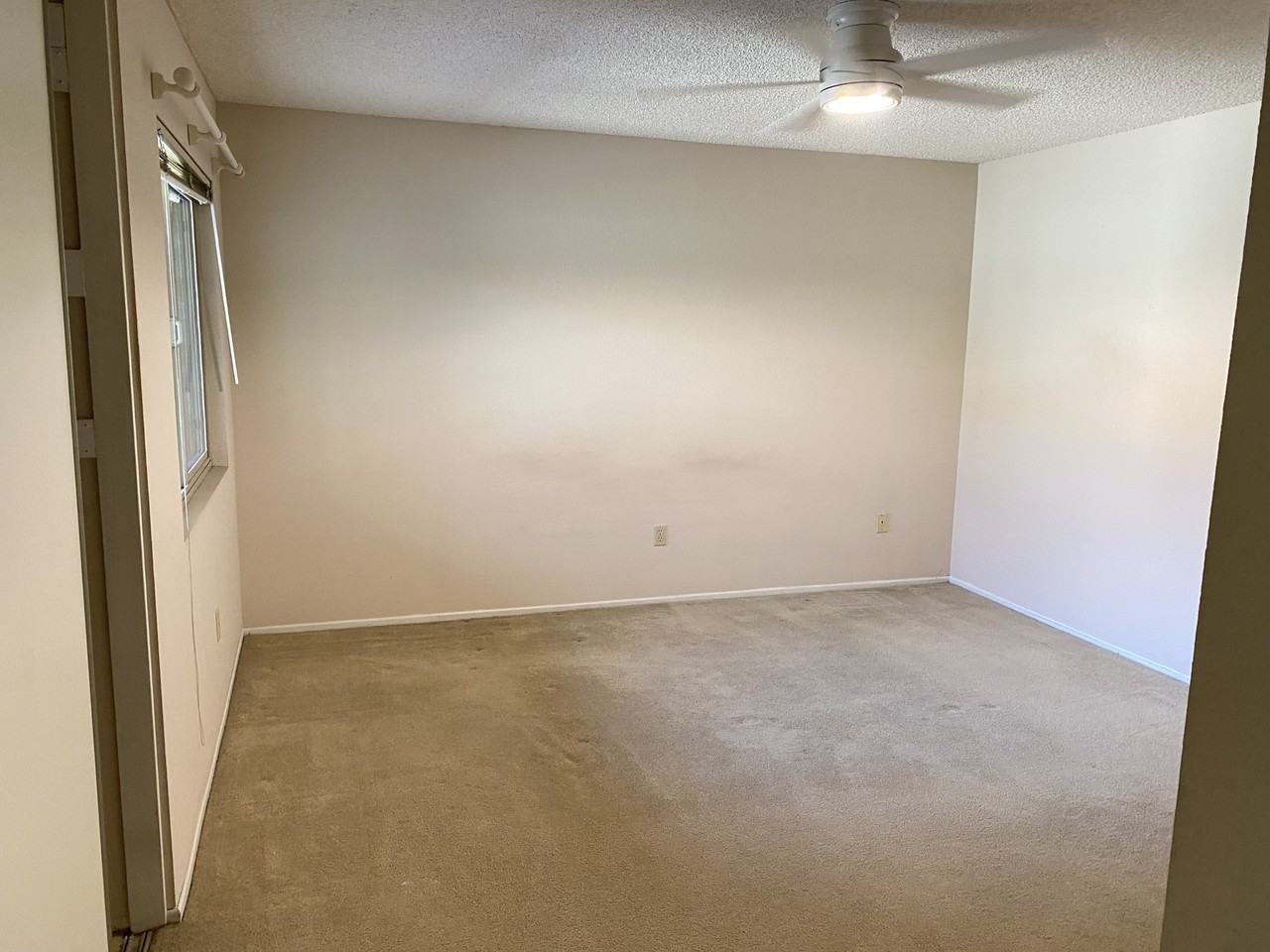 1318 Bushy Tail Trl - Photo 6 of 16