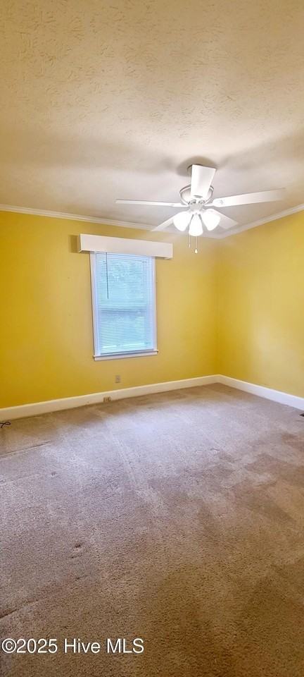 234 Oakcrest Dr - Photo 5 of 9