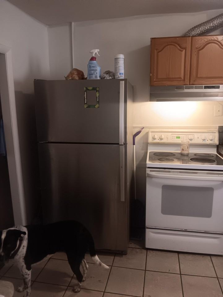 Wahconah St - Photo 2 of 7