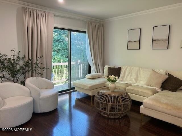 2006 Alpine Trl - Photo 3 of 8