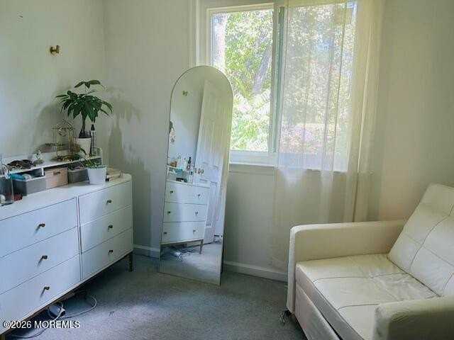 2006 Alpine Trl - Photo 7 of 8