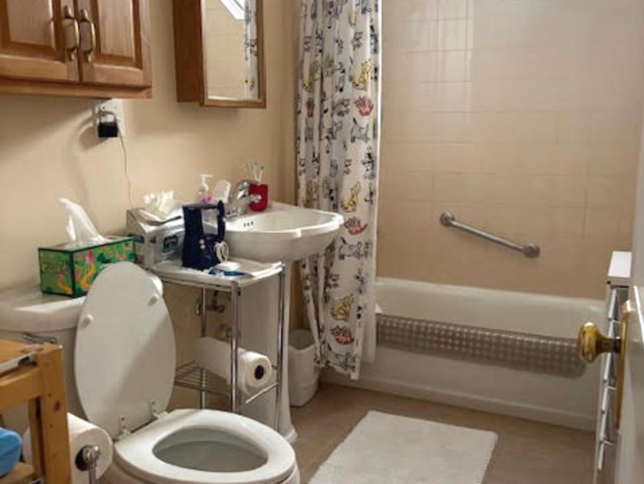 3806 N Leavitt St Unit 2 - Photo 7 of 12