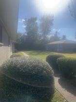 204 Boxtel St #A - Photo 1 of 1