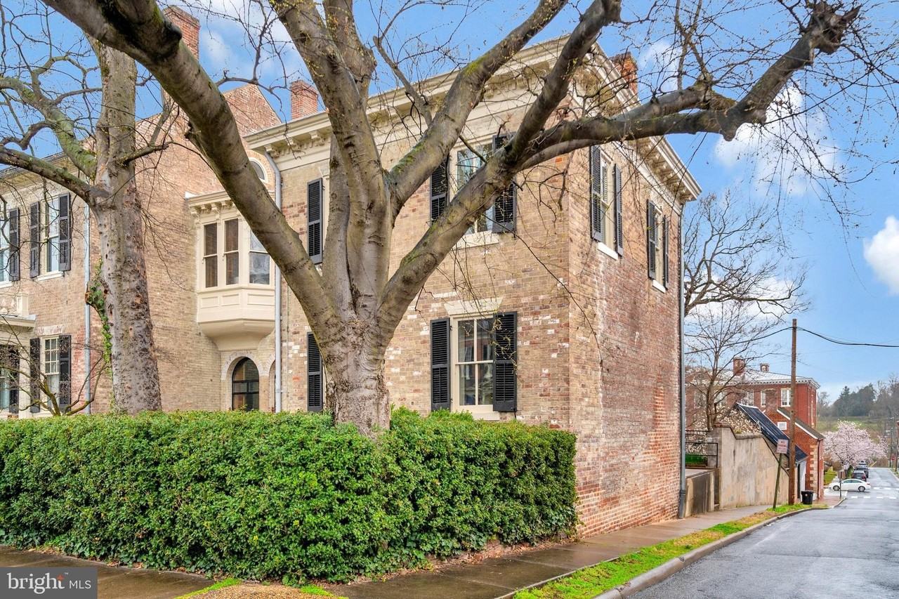 1201A Princess Anne St - Photo 2 of 20