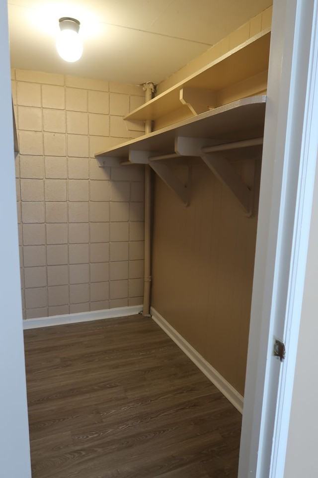 2749 Sullins St #204 - Photo 5 of 14