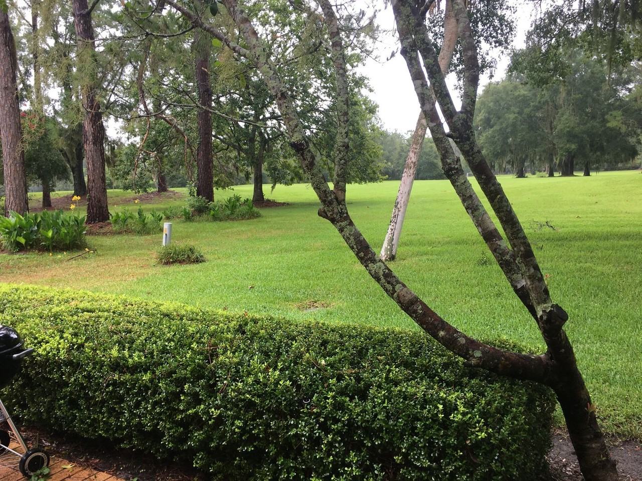 11407 Palmetto Blvd - Photo 6 of 31