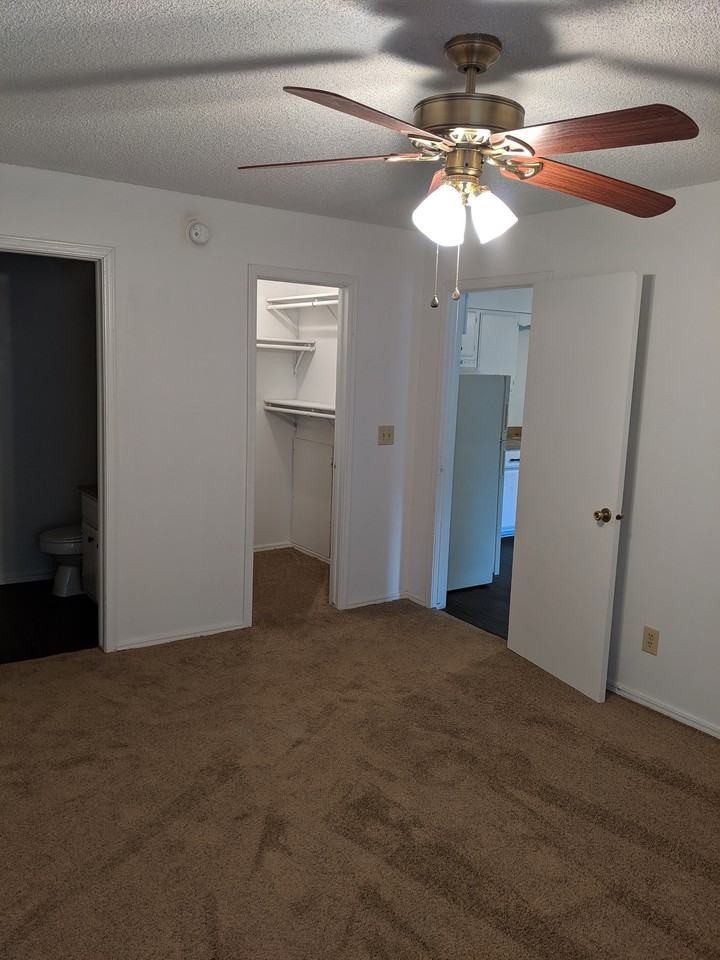 Chestnut Apartments - Photo 6 of 8