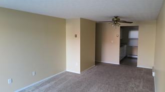 316 W. 5th Street - Photo 1 of 1