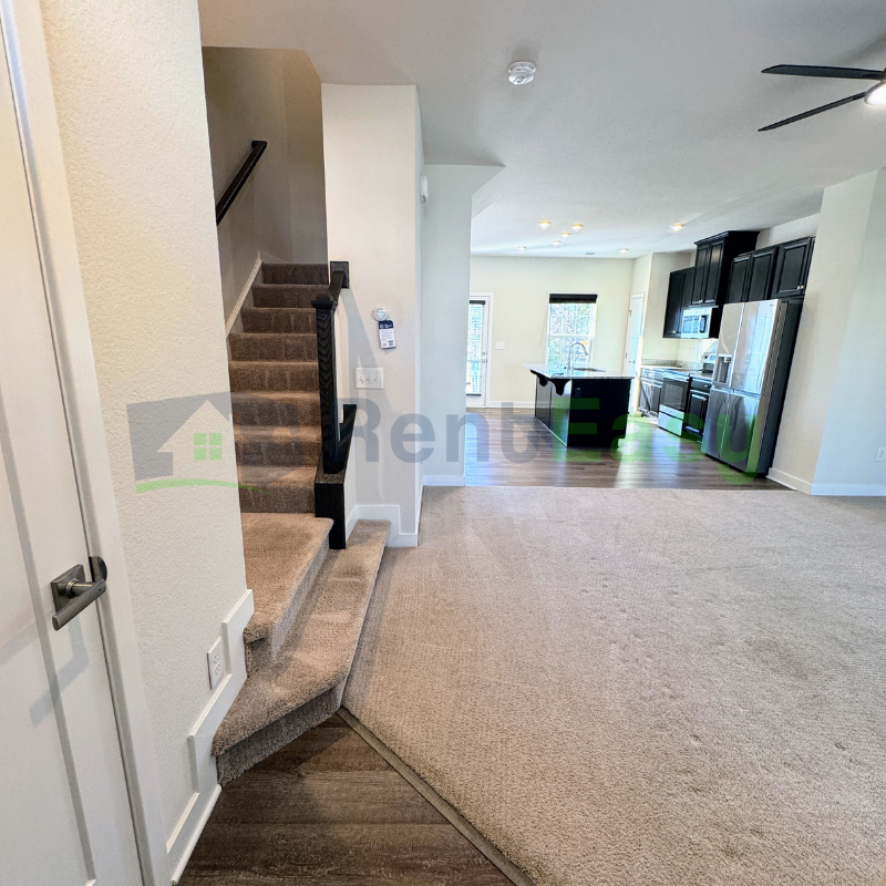 225 Goldenstar Ln - Photo 2 of 25