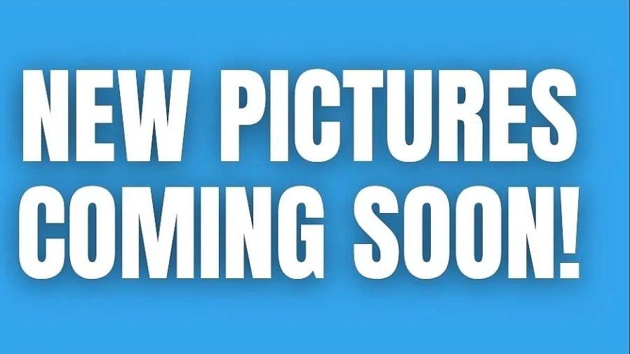 Mustang Trl - Photo 3 of 4