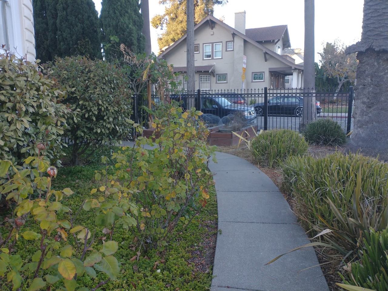 2375 Fruitvale Avenue - Photo 6 of 18