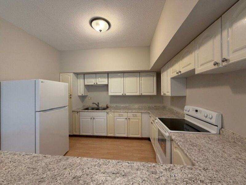 2408 Spring Falls Ave - Photo 4 of 19