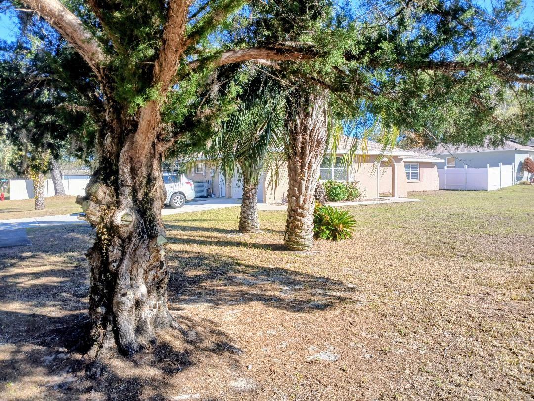 301 Woodland Trl #NA - Photo 4 of 14