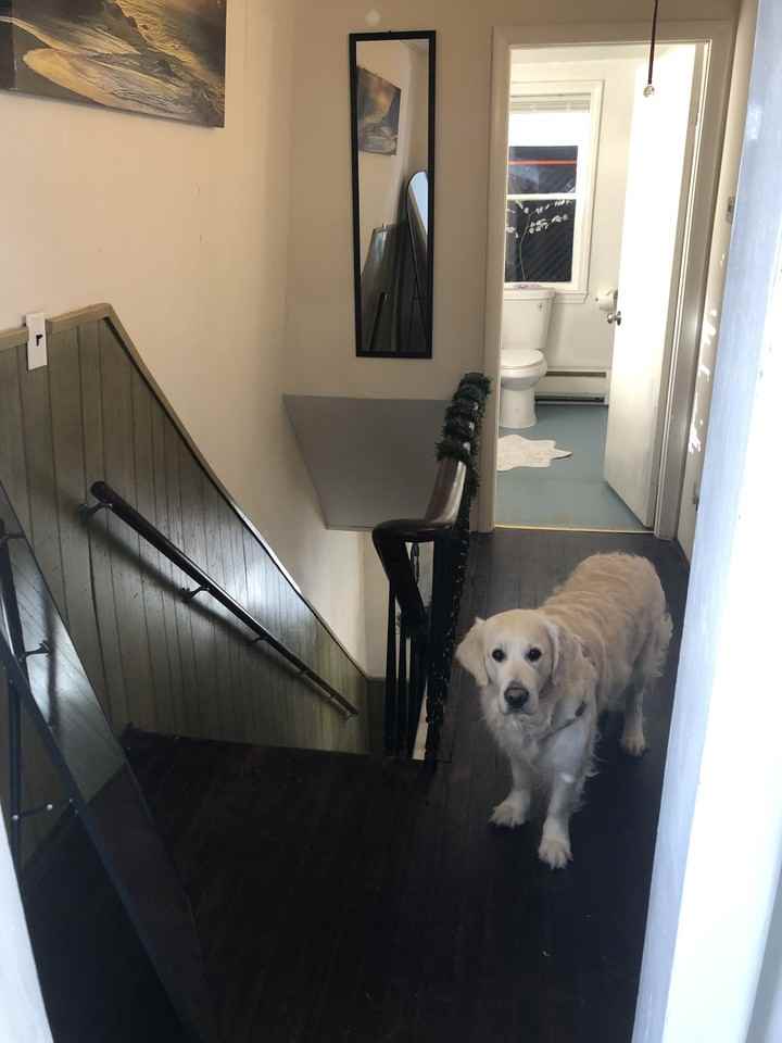 9 Lincoln St #NA - Photo 7 of 37