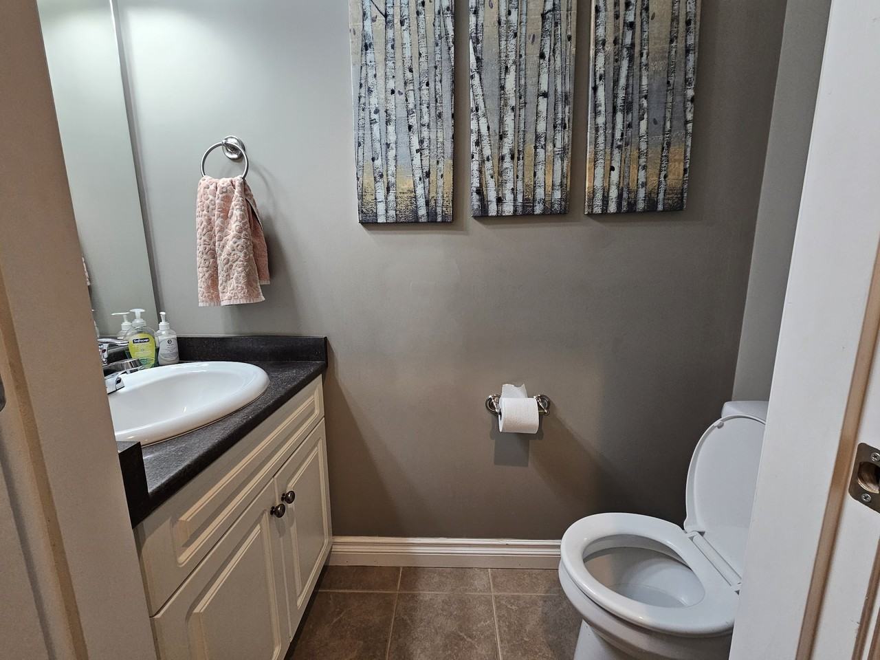 47393 Macswan Dr #A - Photo 5 of 27