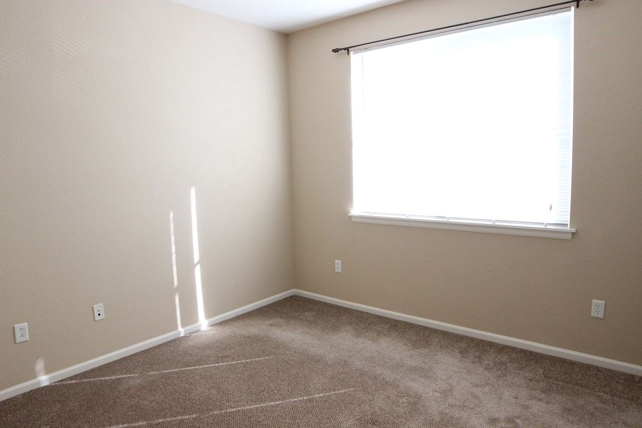 2107 Grays Peak Dr #204 - Photo 7 of 13