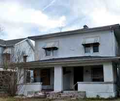 Forest - Photo 1 of 1