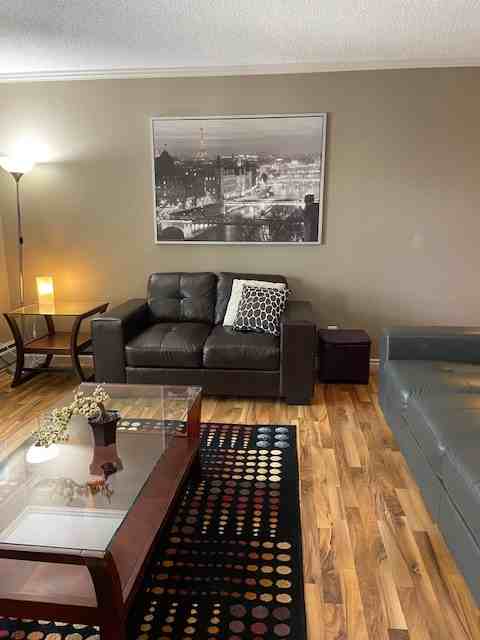 10633 81 Avenue - Photo 2 of 19