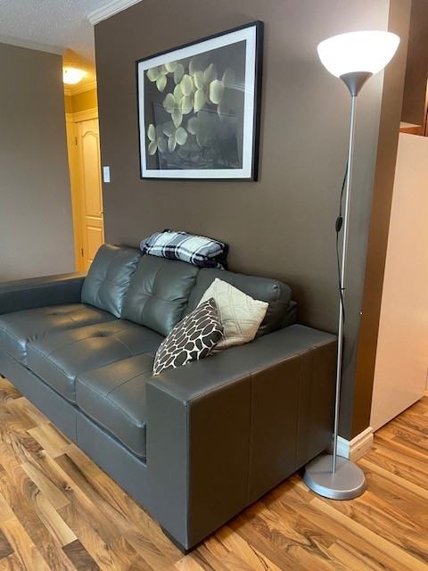 10633 81 Avenue - Photo 3 of 19