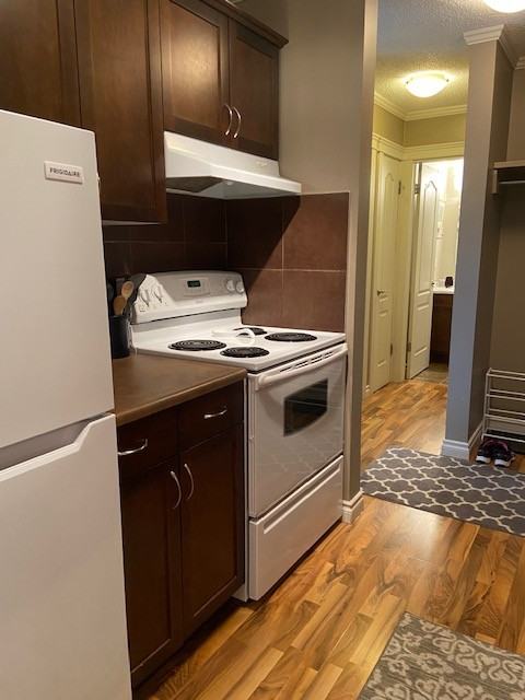 10633 81 Avenue - Photo 6 of 19