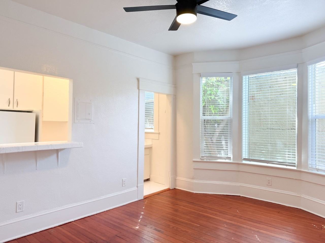 Park Blvd Apartments | Studio living in Walkable Vibrant Neighborhood near The Boulevard! - Photo 7 of 28