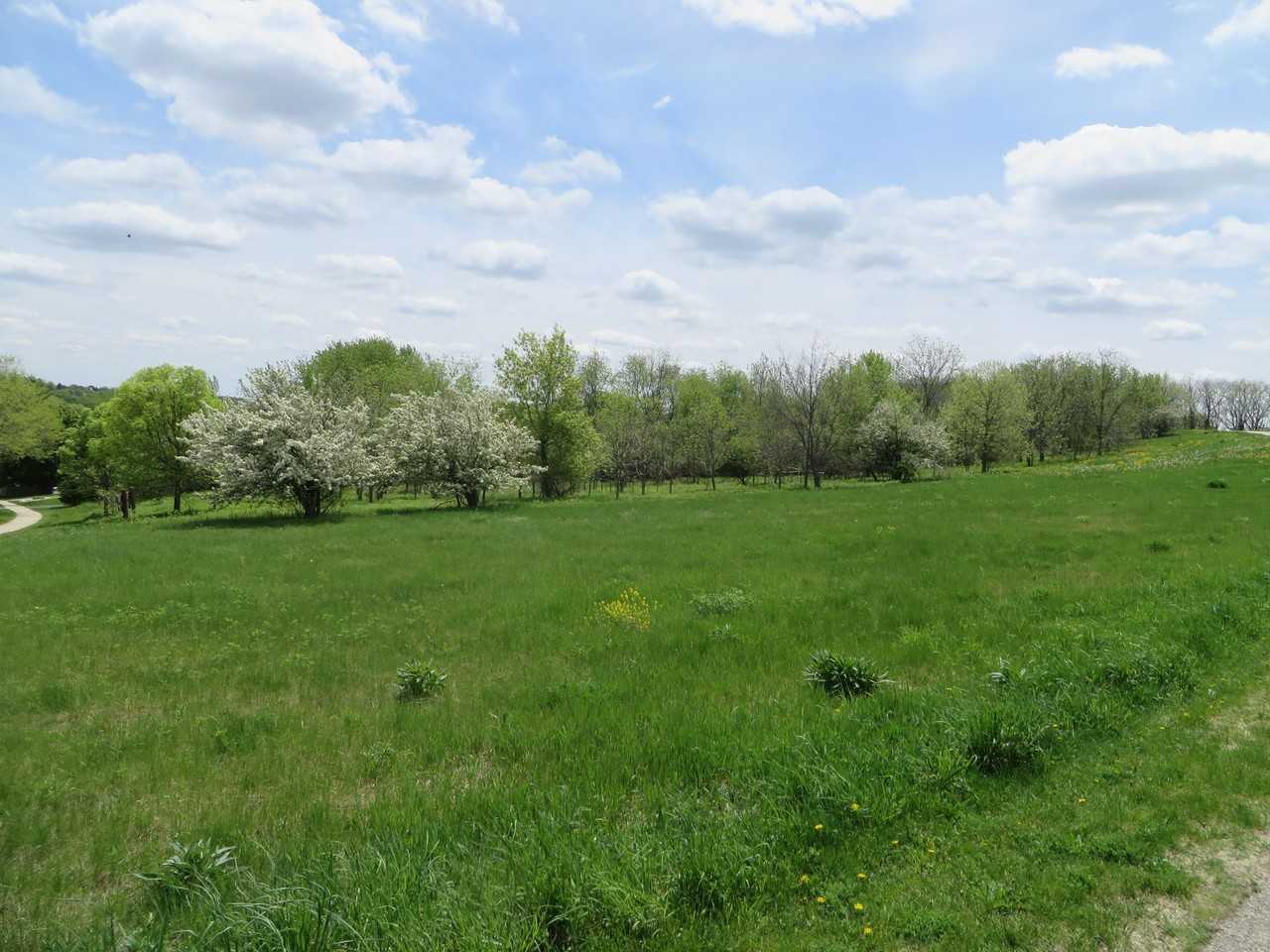 Rock Apartments, LLC - Photo 7 of 26