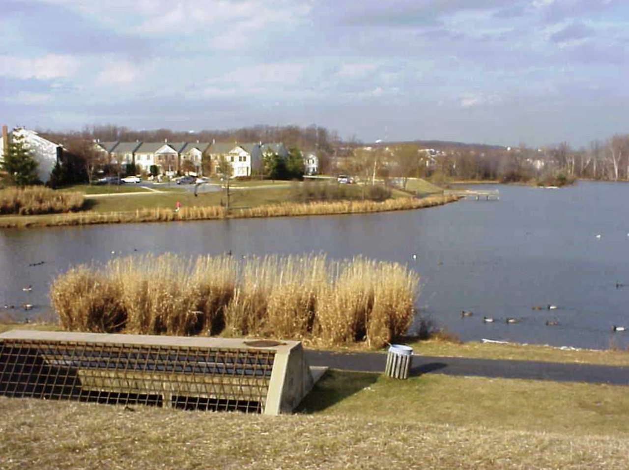 19048 Partridge Wood Dr #1 - Photo 4 of 22