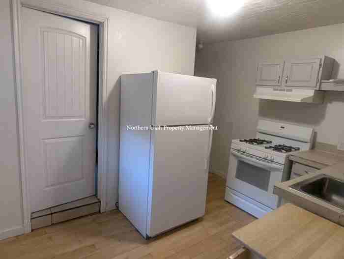 425 E 4th Ave Apt 4 - Photo 4 of 9